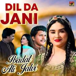 Dil Da Jani - Single