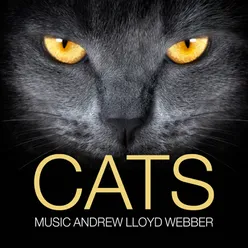 Cats Music by Andrew Lloyd Webber
