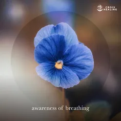 awareness of breathing