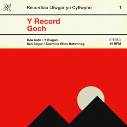 Y Record Goch