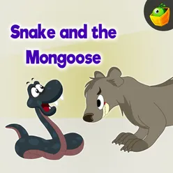 Snake And The Mongoose
