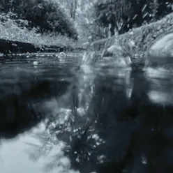 泪雨