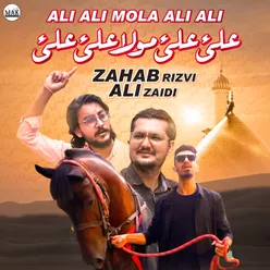 Ali Ali Mola Ali Ali - Single