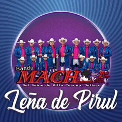 Leña de Pirul