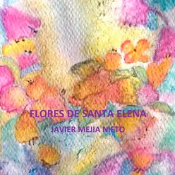 Flores de Santa Elena