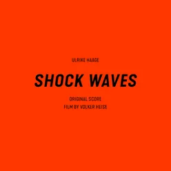 Shock Waves