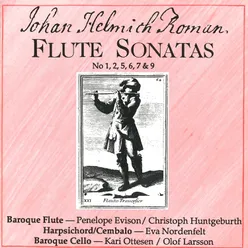 Flute Sonata No. 5 in E Minor