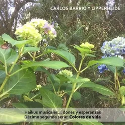 Haikus Musicales... Dones y Esperanzas. Décimo Segunda Serie: Colores de Vida
