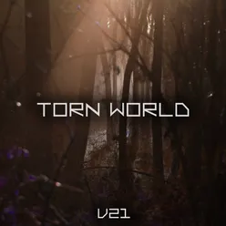 Torn World