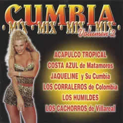 Cumbia Mix, Vol. 2