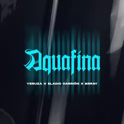 Aquafina