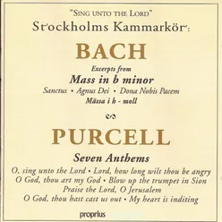 Mass in B Minor, BWV 232 (Excerpt): Agnus Dei