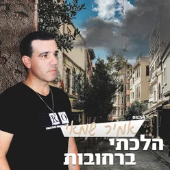 הלכתי ברחובות