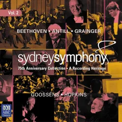 Symphony No. 2 in D Major, Op. 36: II. Larghetto