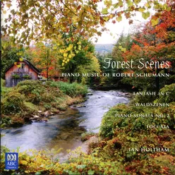 Waldszenen (Forest Scenes), Op. 82: IX. Abschied (Farewell)