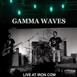 Live at the Iron Cow