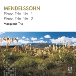 Piano Trio No. 1 in D Minor, Op. 49: I. Molto allegro ed agitato
