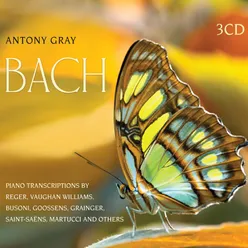 Adagio arranged from Cantata BWV 3 "Ach Gott, wie manches Herzeleid" - Opening Chorus and Recitative "Wie schwerlich lässt sich Fleisch und Blut" (Arr. Camille Saint-Saëns)