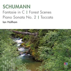 Waldszenen (Forest Scenes), Op. 82: VI. Herberge (Inn)