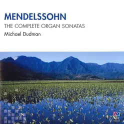 Organ Sonata No. 4 in B-Flat Major, Op. 65, No. 4, MWV W59: 3. Allegretto