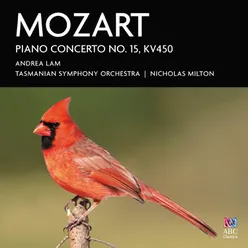 Piano Concerto No. 15 in B-Flat Major, K. 450: II. Andante