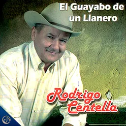 El Guayabo de un Llanero