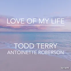 Love of My Life Tee's Mix