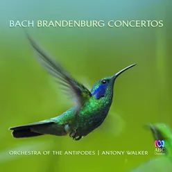 Brandenburg Concerto No. 1 in F Major, BWV 1046: 2. Adagio