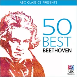 Symphony No. 4 in B-Flat Major, Op. 60: 2. Adagio