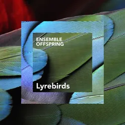 Beautiful Birds: I. Lyrebirds