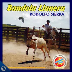 Bandola Llanera