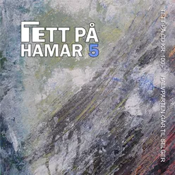 Tett på Hamar 5