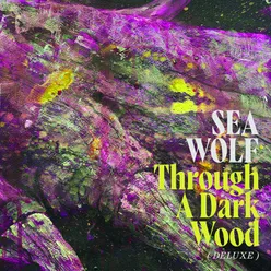 Through A Dark Wood (Deluxe)