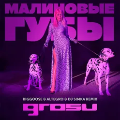 Малиновые губы Biggoose & Altegro & DJ SIMKA Remix