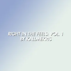 Right in the Feels: Vol. 1 by KallMeKris