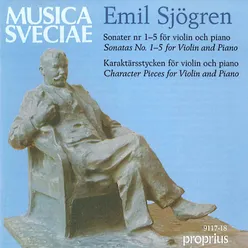 Violin Sonata No. 1 in G Minor, Op. 19: I. Allegro vivace