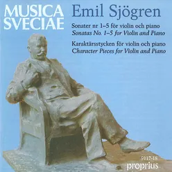 Violin Sonata No. 2 in E Minor, Op. 24: I. Allegro moderato