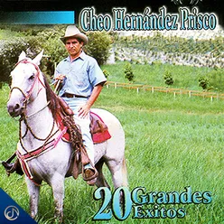 20 Grandes Éxitos