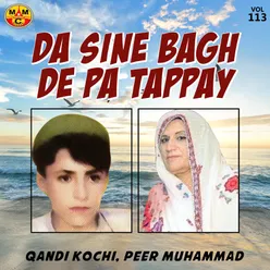 Da Sine Bagh De Pa Tappay, Vol. 113