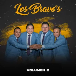 Los Bravos y Su Orquesta Vol. 2