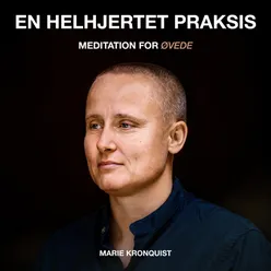 Meditation for øvede - En helhjertet praksis