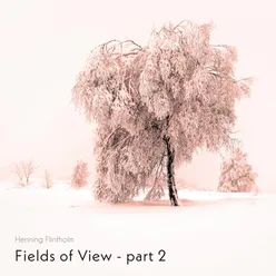 Fields of View - part 2