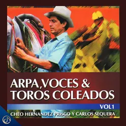 Arpa, Voces & Toros Coleados, Vol. 1