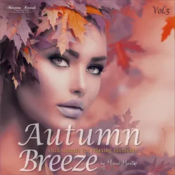 Autumn Breeze, Vol. 5 - Chill Sounds for Relaxing Moments