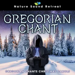 Gregorian Winter Meditation with 432Hz Healing Frequency (Loopable)