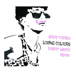 Losing Colours Robert Babicz Remix