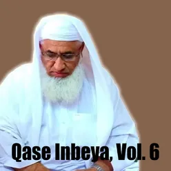 Qase Inbeya, Vol. 6