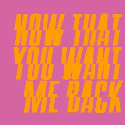 Now That You Want Me Back
