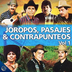 Joropos, Pasajes & Contrapunteos, Vol. 1