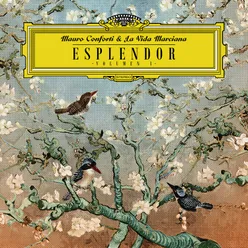 Esplendor Vol 1